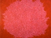 Pink Seafan On Red. 2009. acrylic on canvas 90cm x 90cm